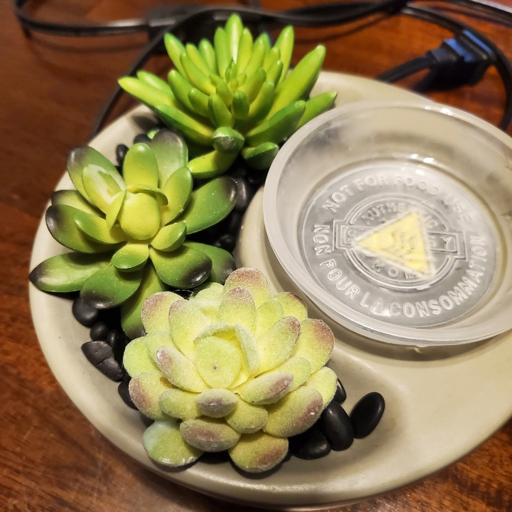 Scentsy Succulent Warmer